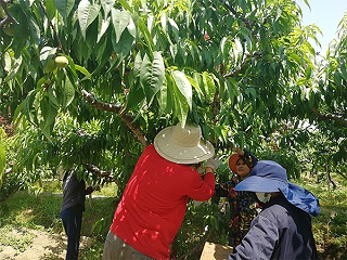现场考察