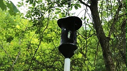 有关天牛诱捕器安装使用说明书！