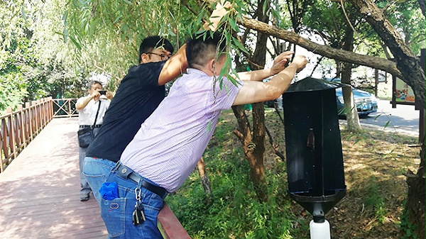 有关松墨天牛信息素引诱剂使用说明！