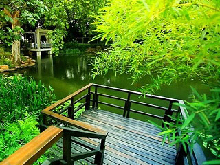 上海林业局生物诱捕剂案例！