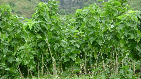 未标wenzzzqqq题-1