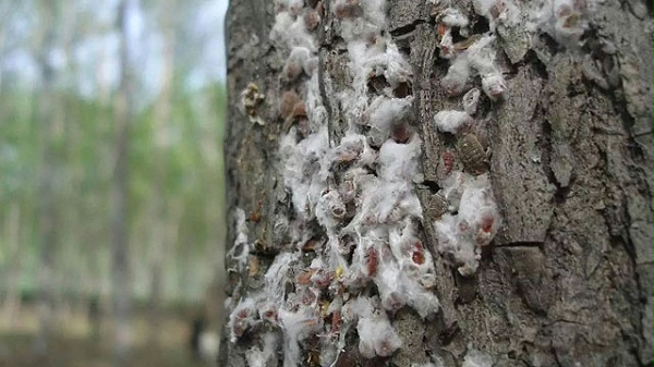 未标wenhznag-题-1