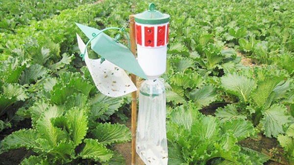 害虫诱捕器有什么优点呢？泽农生物告诉您！