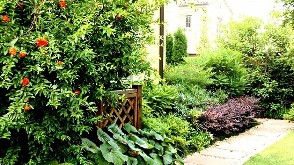 昆虫诱捕器的使用方法及保存技巧分享！