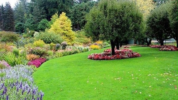 有关园林保水剂的优势介绍！