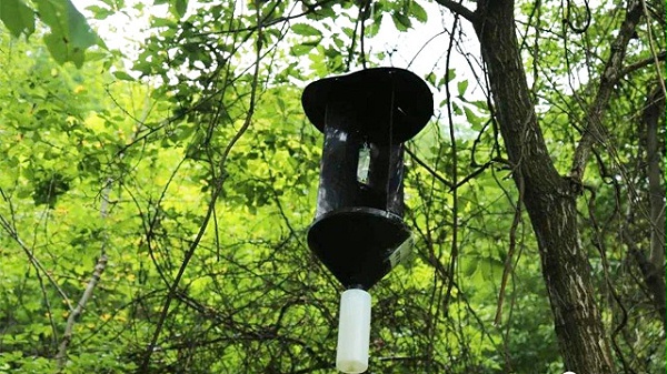 诱捕器厂家为大家介绍害虫性诱自动诱捕器！