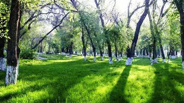 未wenzhnag-标题-1