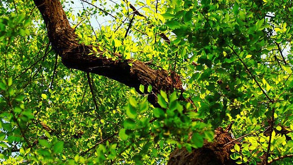 未标wenhznag-题-1