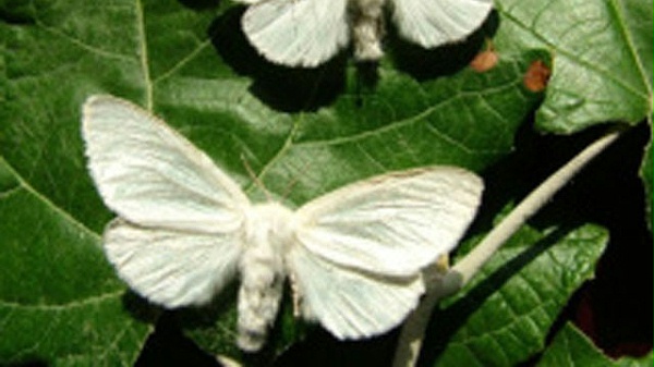 未标wenhznag-题-1