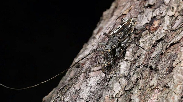 未wenzahng-标题-1