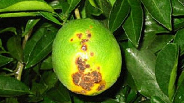 未wenzhang-标题-1