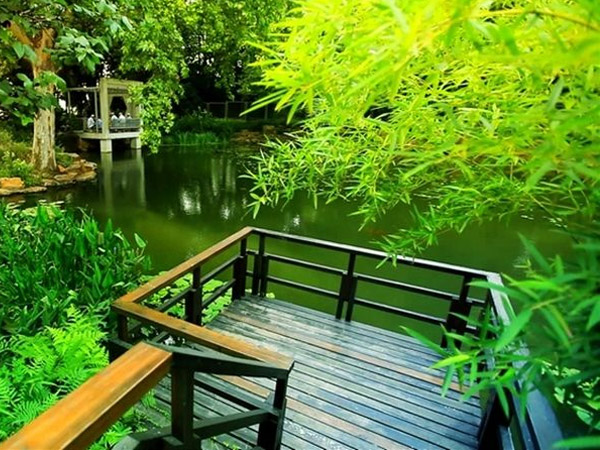 上海林业局生物诱捕剂案例！