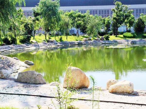 沈阳农业大学生物诱捕剂案例！