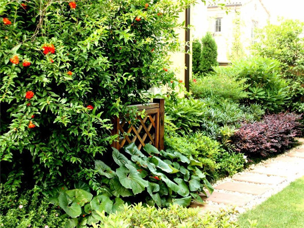 常州市红梅公园管理处生物诱捕剂案例！