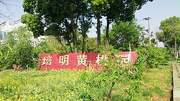 有关生物食诱剂的介绍说明！