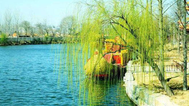 植保工作者对柳树病虫害防护的五项建议，句句在理！